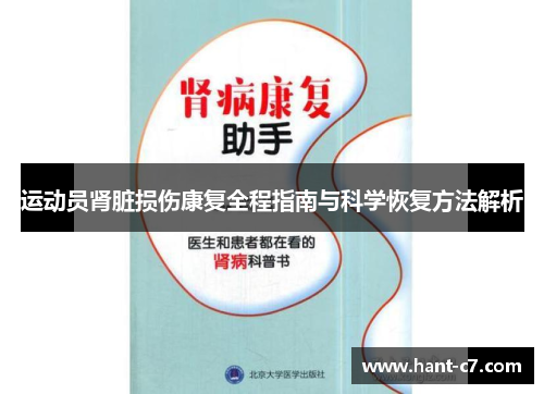 运动员肾脏损伤康复全程指南与科学恢复方法解析 运动员肾脏损伤康复全程指南与科学恢复方法解析
