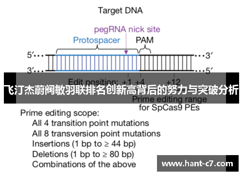 飞汀杰蔚阀敏羽联排名创新高背后的努力与突破分析