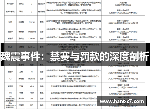 魏震事件：禁赛与罚款的深度剖析