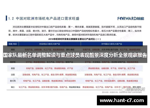 国家队最新名单调整解读与重点球员表现前景深度分析全景观察报告